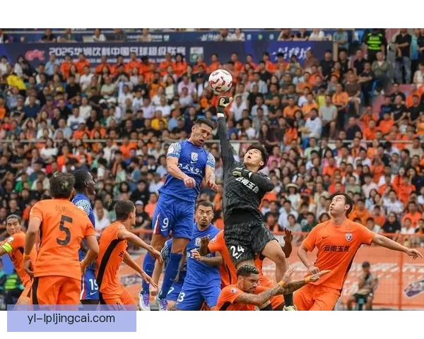 中超升班马票价过高 球迷举韭菜抗议